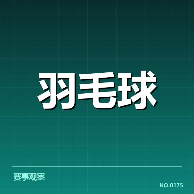 2024年羽毛球技术挑战赛:裁判判罚公正性疑问